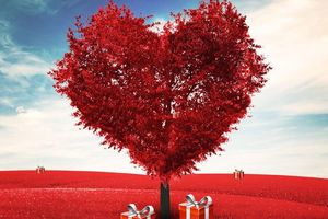 Топ 10 подарков ко Дню Святого Валентина
