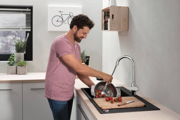 Змішувач hansgrohe Focus M42 для кухонної мийки 71800000 хром 71800000 фото