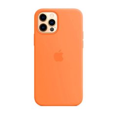 Силіконовий чохол Apple Silicone Case MagSafe Komquat (MHL83) для iPhone 12 Pro Max MK043 фото