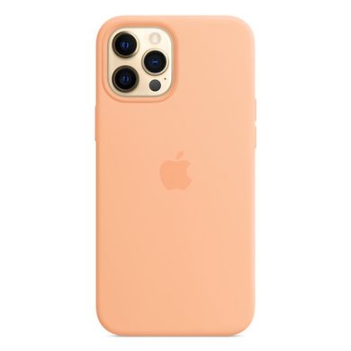 Силиконовый чехол Apple Silicone Case MagSafe Cantaloupe (MK073) для iPhone 12 Pro Max MK043 фото