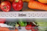 Холодильник вбудований Vestel RF380BI3EI-W RF380BI3EI-W фото 11