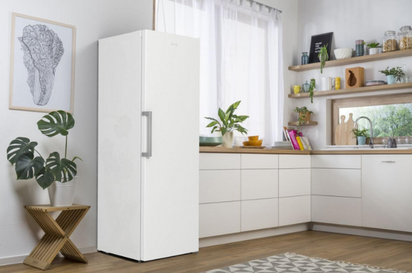 Морозильна камера Gorenje FN619EEW5 FN619EEW5 фото