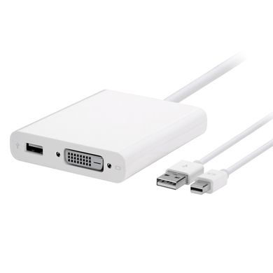 Перехідник Apple Mini DisplayPort to Dual-Link DVI Adapter (MB571) 5828 фото