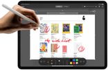 Apple iPad Pro 12.9" 1TB Wi-Fi Silver (MXAY2) 2020 MXAY2 фото 7