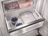 Двухкамерный холодильник Liebherr SCNsdd 5253 SCNsdd 5253 фото 16