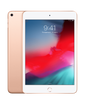 Apple iPad Mini 5 256Gb Wi‑Fi+4G Gold (2019) MUXP2 фото