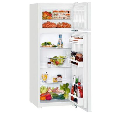 Двокамерний холодильник Liebherr CT 2531 CT 2531 фото