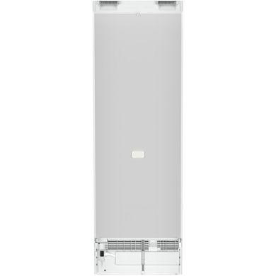 Однокамерний холодильник Liebherr RBe 5220 Plus RBe 5220 фото