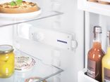Малогабаритний холодильник Liebherr Tb 1400 (Уцінка) Tb 1400 (У1) фото 4