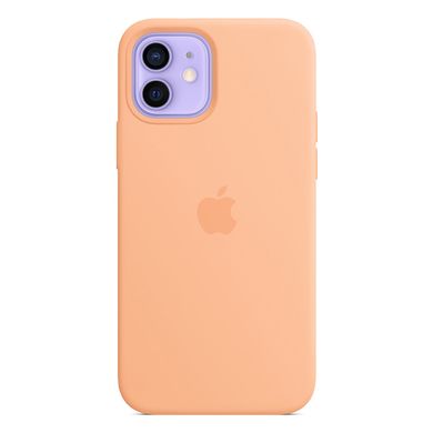 Силіконовий чохол Apple Silicone Case MagSafe Amethyst (MK033) для iPhone 12 | 12 Pro MK023 фото