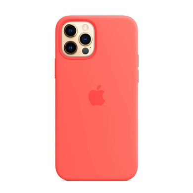 Силіконовий чохол Apple Silicone Case MagSafe Amethyst (MK033) для iPhone 12 | 12 Pro MK023 фото