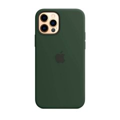 Силіконовий чохол Apple Silicone Case MagSafe Cyprus Green (MHLC3) для iPhone 12 Pro Max MK043 фото